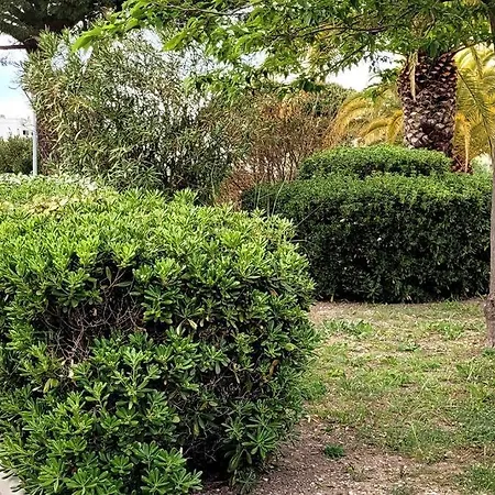 Comme A La Maison!!a 5 Min A Pied Plage,pkg Prive דירה *